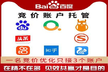 百度竞价广告与自然搜索排名的结合策略案例
